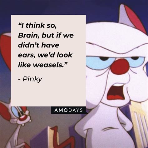 165 ‘Pinky and the Brain’ Quotes Loved by Fans Worldwide