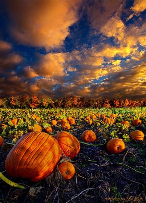 Found on Bing from nqnmediagroup.com | Nature, Landscape, Fall pictures