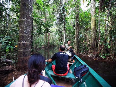 Tambopata National Reserve