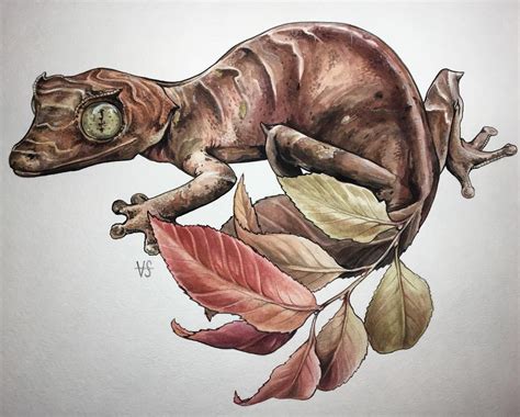 Leaftailed gecko painting by @v.steiner | Animal illustration art ...