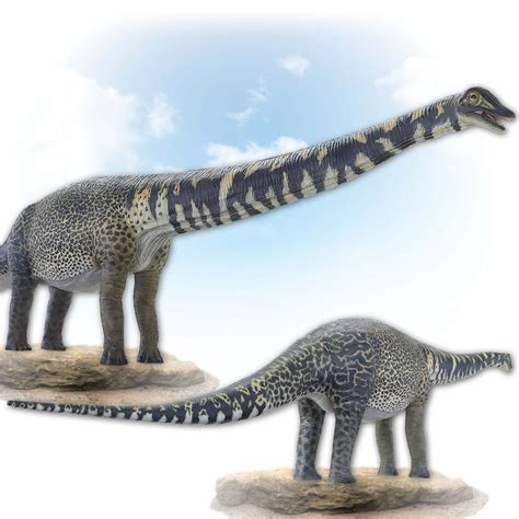 Australotitan Cooperensis Dinosaur 15m Long Sculptures