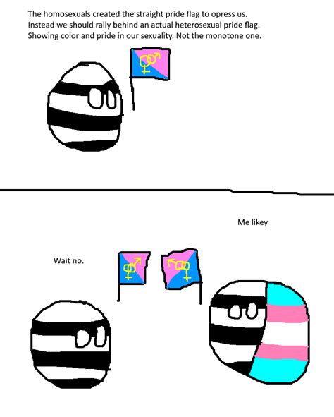 Straight Pride Flag : r/lgballt