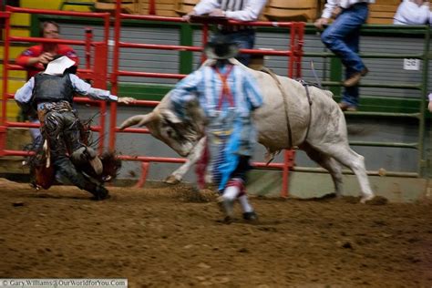 Stockyards Championship Rodeo, Fort Worth, Texas - Our World for You