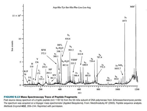 Peptide Sequencing Using Mass Spectrometry