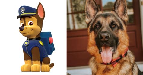 What Are the Dog Breeds on ‘Paw Patrol’? Here's What We Know