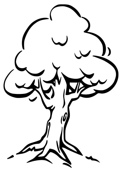 Clip Art Tree Outline - ClipArt Best