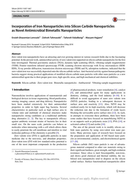 Incorporation of Iron Nanoparticles into Silicon Carbide Nanoparticles ...