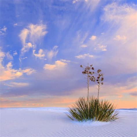 U.S. Department of the on Instagram: “Rising from the heart of the Tularosa Basin is one of the ...