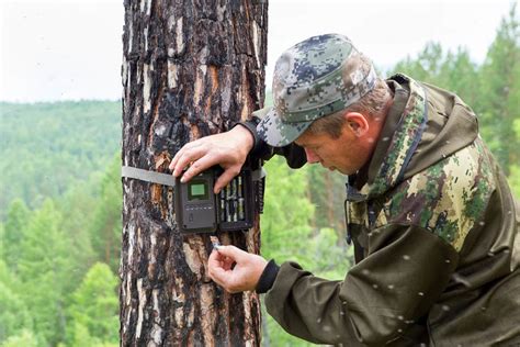 How Do Cellular Trail Cameras Work? - Optics Mag