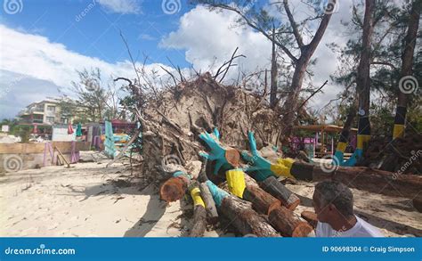 Hurricane damage editorial stock image. Image of damage - 90698304