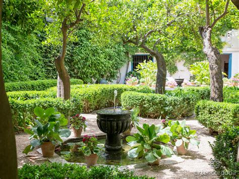 orange trees in a garden - Google Search | Convent garden, Garden, Orange tree