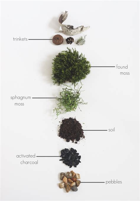 DIY Found Moss Terrarium Idle Hands Awake