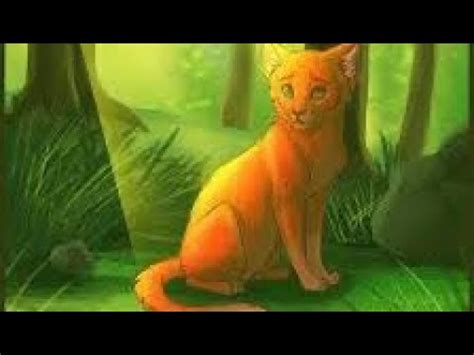 Firestar ~Warrior Cats~ ( Battle Scars) - YouTube