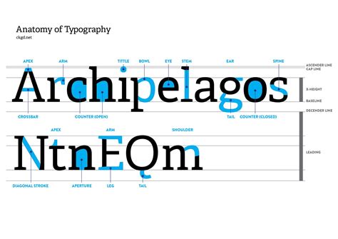 Anatomy of Typography - Letter features and characteristics ...