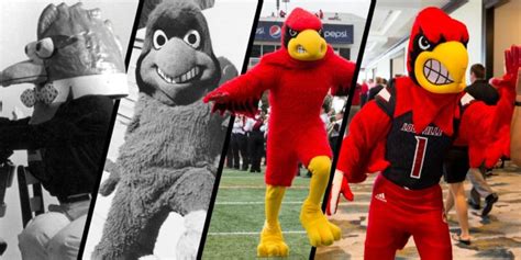 Get to know our beloved mascot Louie | UofL News