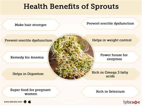 Sprouts Benefits And Its Side Effects | Lybrate