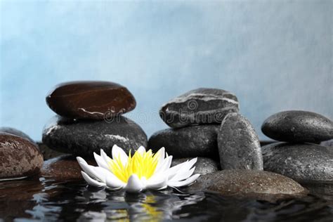 Beautiful Zen Garden with Lotus Flower and Pond on Blue Background Stock Photo - Image of color ...