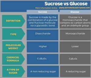 Difference Between Sucrose and Glucose | Compare the Difference Between ...