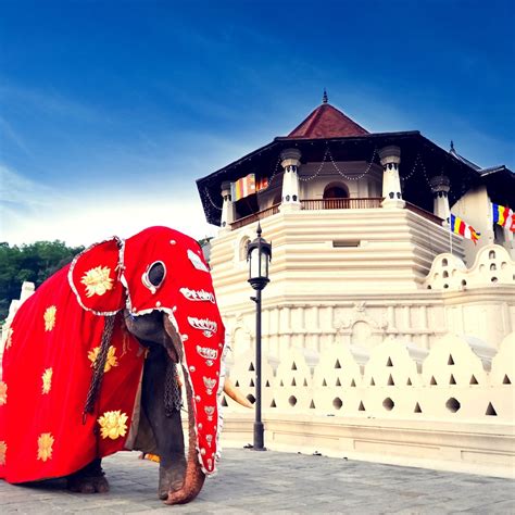 Kandy - Sri Lanka Wide Tours