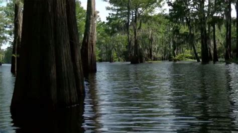 Atchafalaya National Heritage Area opens application period for grants