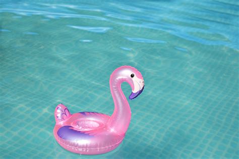 Flamingo Pool Cocktail - Free photo on Pixabay - Pixabay