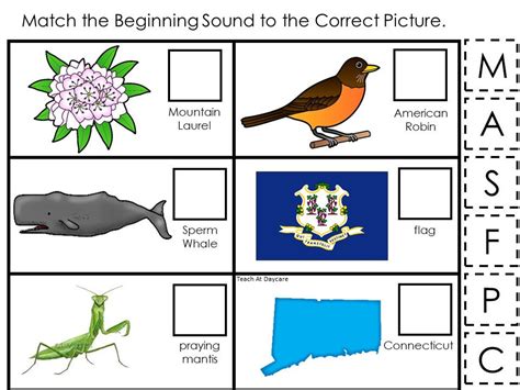 30 Connecticut State Symbols Themed Learning Games Download. - Etsy