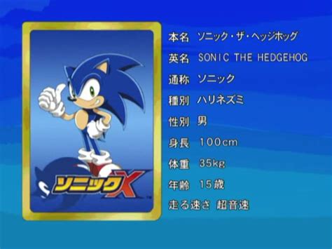 Sonic - Sonic X Profiles - Gallery - Sonic SCANF