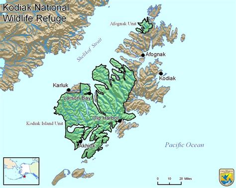 Kodiak Bear Hunting Guide