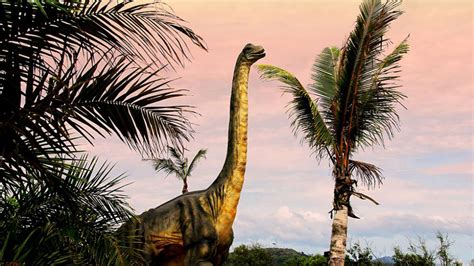 New study offers insight on evolution of the largest of the large dinosaurs