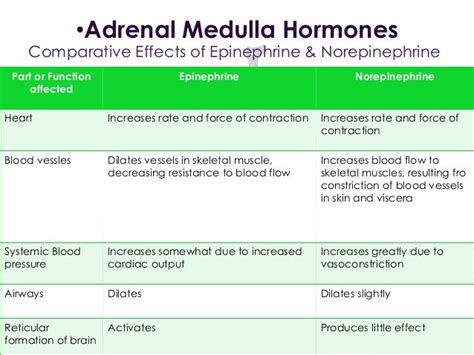 Image result for epinephrine vs norepinephrine function ...