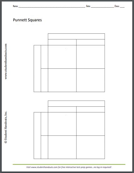 Monohybrid Cross Punnett Square Worksheet