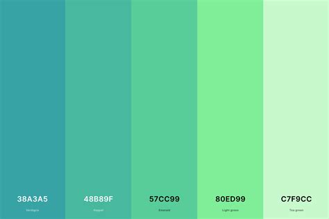 35+ Best Green Color Palettes with Names and Hex Codes – CreativeBooster