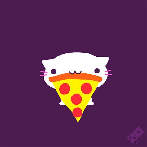 Cats-Love-Pizza GIFs - Find & Share on GIPHY