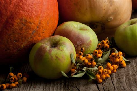 Apples and pumpkins stock photo. Image of nutrition, fruit - 21450926