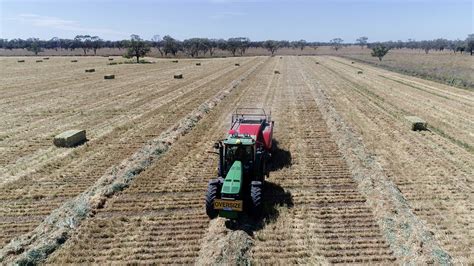 Making hay while the sun shines - The Courier