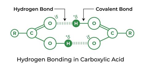 Hydrogen Bonding – Definition, Types, Effects and Properties (2022)