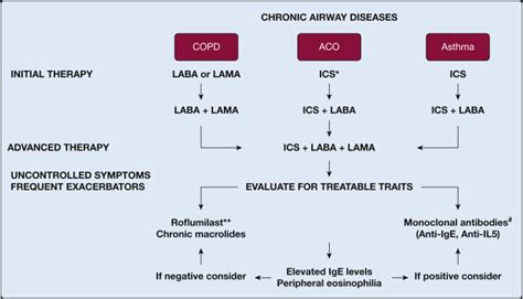 Clinical Approach to the Therapy of Asthma-COPD Overlap - CHEST