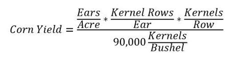 Estimating Corn Yields Using Yield Components | Integrated Crop Management