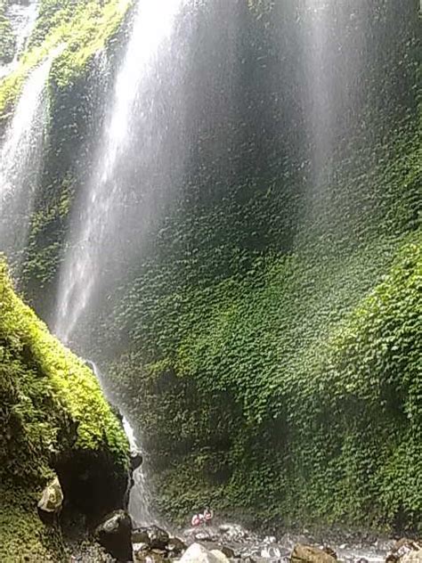 Madakaripura Waterfall (Air Terjun Madakaripura) - Hidden Place for ...