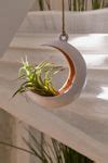 Crescent Moon Hanging Air Plant Holder | Urban Outfitters