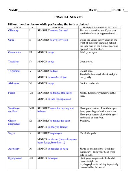 CRANIAL NERVES - DOC | Cranial nerves, Nursing school survival, Nursing ...