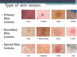 Secondary skin lesions | PPT