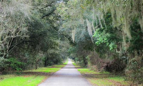 Withlacoochee Trail might be Florida's best bike trail