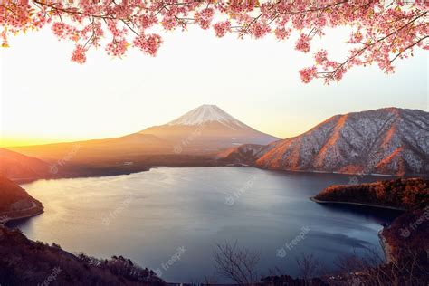 Premium Photo | Sunrise over Fuji san mountain and pink sakura