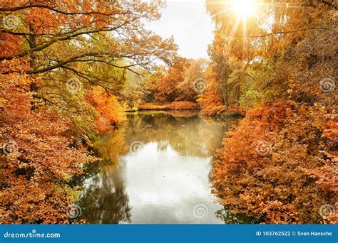 The Tiergarten in Berlin, Germany Stock Photo - Image of forest, park ...