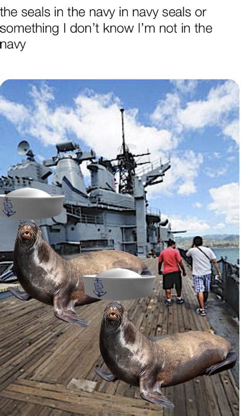 Navy Seal Meme