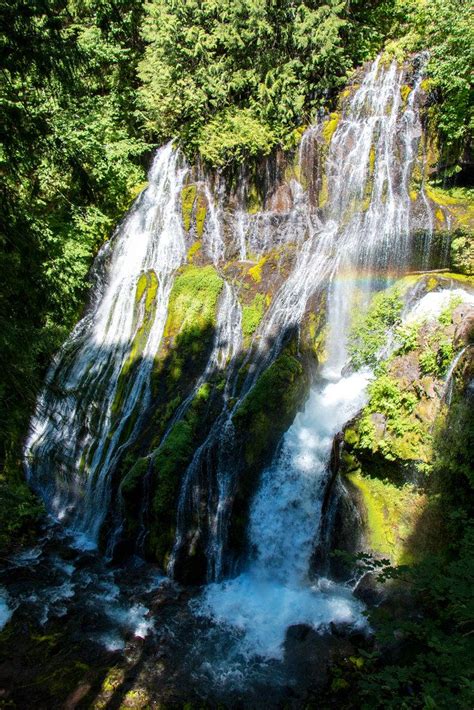 Two waterfalls of gifford pinchot national forest – Artofit