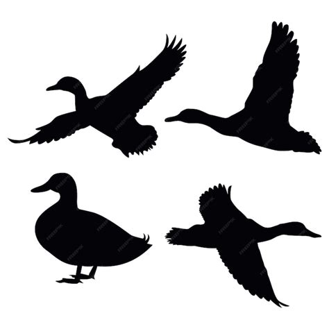 Premium Vector | Mallard duck silhouette vector illustration