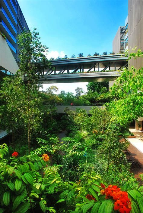 Singapore’s Khoo Teck Puat Hospital: Biophilic Design in Action | Human Spaces