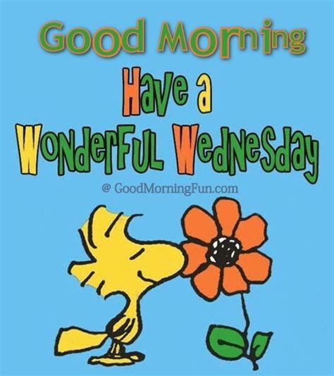 Good Morning Wednesday Inspirational Quotes & Wishes with Images - Good Morning Fun